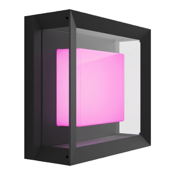 Philips Hue Econic Outdoor Wall & Ceiling Light